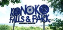 KONOKO FALLS AND TROPICAL GARDEN TOUR