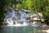 DUNN’S RIVER FALLS TOUR