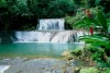 Y.S FALLS TOUR JAMAICA